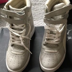 Grey and white wedge pumas